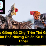 Các Giống Gà Chọi Trên Thế Giới Khám Phá Những Chiến Kê Huyền Thoại