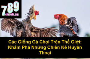 Cách Xem Màu Mạng Gà Đá Cựa Sắt Chuẩn Xác Nhất 2024