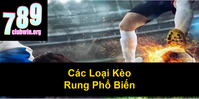Các Loại Kèo Rung Phổ Biến