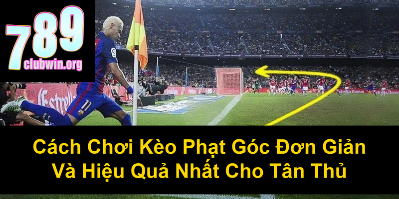 Cách Chơi Kèo Phạt Góc Đơn Giản Và Hiệu Quả Nhất Cho Tân Thủ