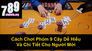 Cách Chơi Tổ Tôm Chi Tiết Nhất Cho Người Mới Bắt Đầu