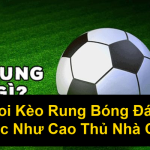 Cách Soi Kèo Rung Bóng Đá Chuẩn Xác Như Cao Thủ Nhà Cái