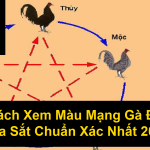 Cách Xem Màu Mạng Gà Đá Cựa Sắt Chuẩn Xác Nhất 2025