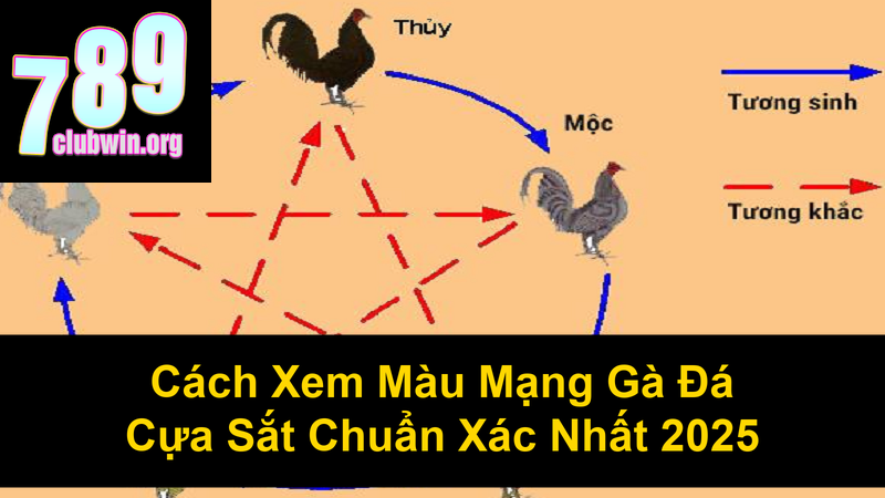 Cách Xem Màu Mạng Gà Đá Cựa Sắt Chuẩn Xác Nhất 2025