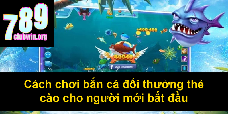 Cách chơi bắn cá đổi thưởng thẻ cào cho người mới bắt đầu