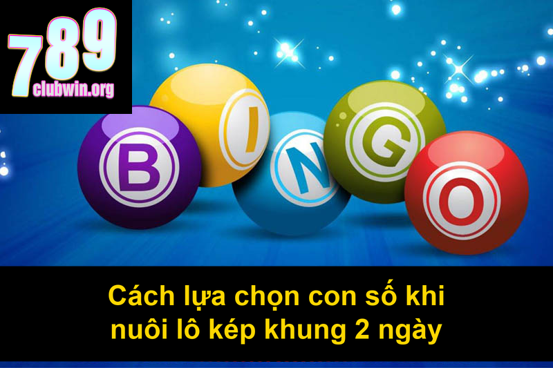 Cách lựa chọn con số khi nuôi lô kép khung 2 ngày