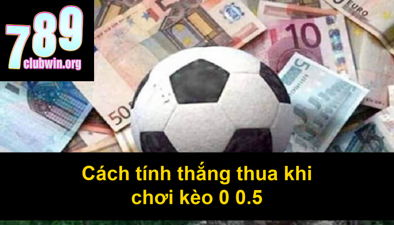 Cách tính thắng thua khi chơi kèo 0 05