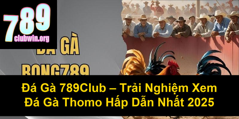 Đá Gà 789Club Trải Nghiệm Xem Đá Gà Thomo Hấp Dẫn Nhất 2025