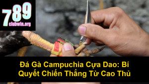 Cách Xem Màu Mạng Gà Đá Cựa Sắt Chuẩn Xác Nhất 2024