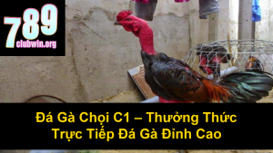 Cách Xem Màu Mạng Gà Đá Cựa Sắt Chuẩn Xác Nhất 2024