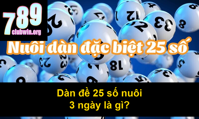 Dàn đề 25 số nuôi 3 ngày là gì