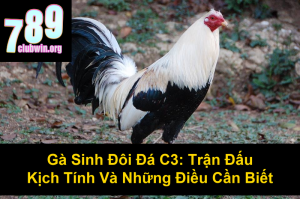 Cách Xem Màu Mạng Gà Đá Cựa Sắt Chuẩn Xác Nhất 2024