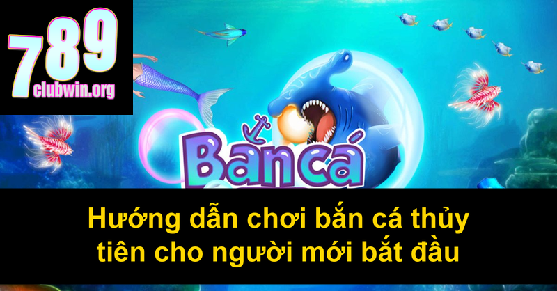 Hướng dẫn chơi bắn cá thủy tiên cho người mới bắt đầu
