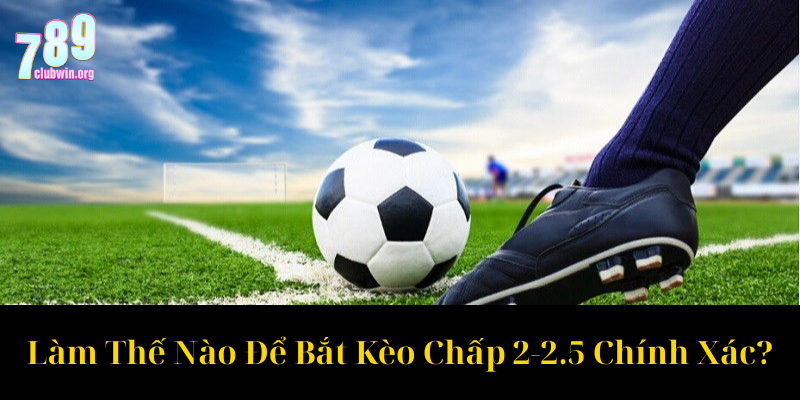 Làm Thế Nào Để Bắt Kèo Chấp 2 2.5 Chính Xác