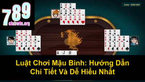 Cách Chơi Tổ Tôm Chi Tiết Nhất Cho Người Mới Bắt Đầu