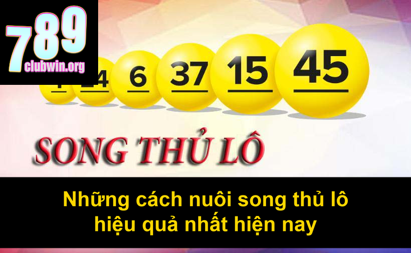 Những cách nuôi song thủ lô hiệu quả nhất hiện nay
