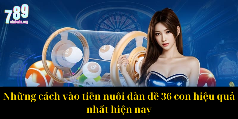 Những cách vào tiền nuôi dàn đề 36 con hiệu quả nhất hiện nay