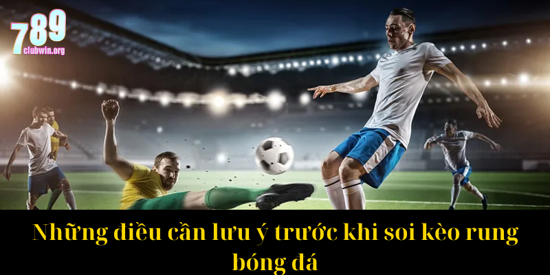 Những điều cần lưu ý trước khi soi kèo rung bóng đá