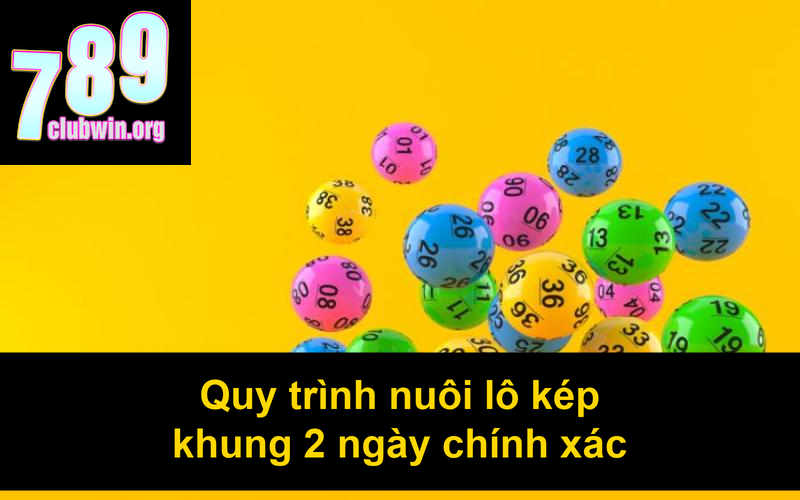 Quy trình nuôi lô kép khung 2 ngày chính xác