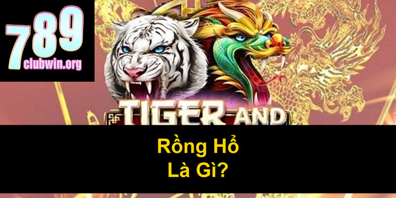 Rồng Hổ Là Gì