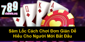 Cách Chơi Tổ Tôm Chi Tiết Nhất Cho Người Mới Bắt Đầu
